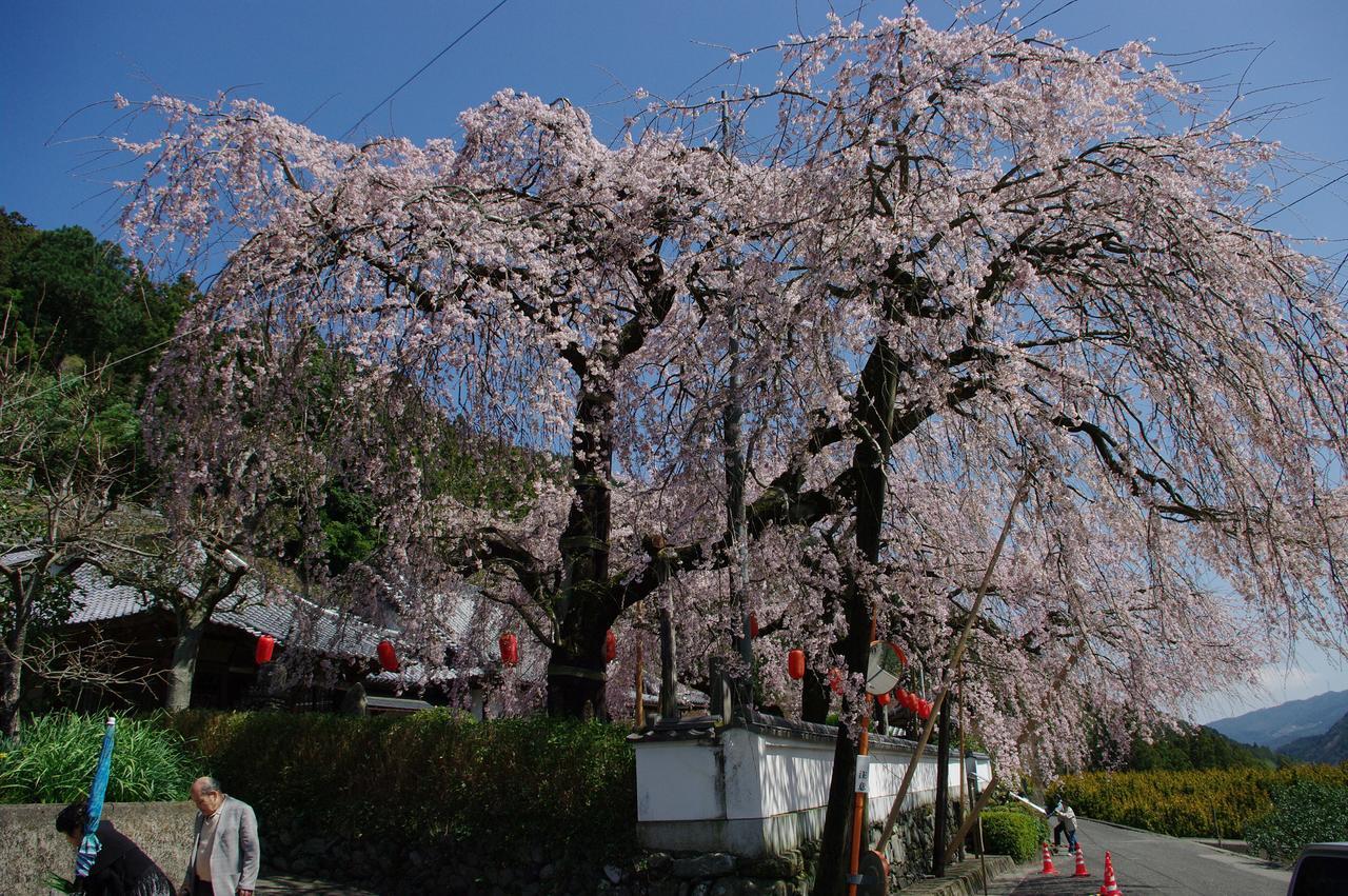Kamiyama Onsen Hotel Shikinosato & Iyashinoyu Tokushima Eksteriør billede